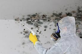 Forensic Mold Investigation in New Fairview, TX